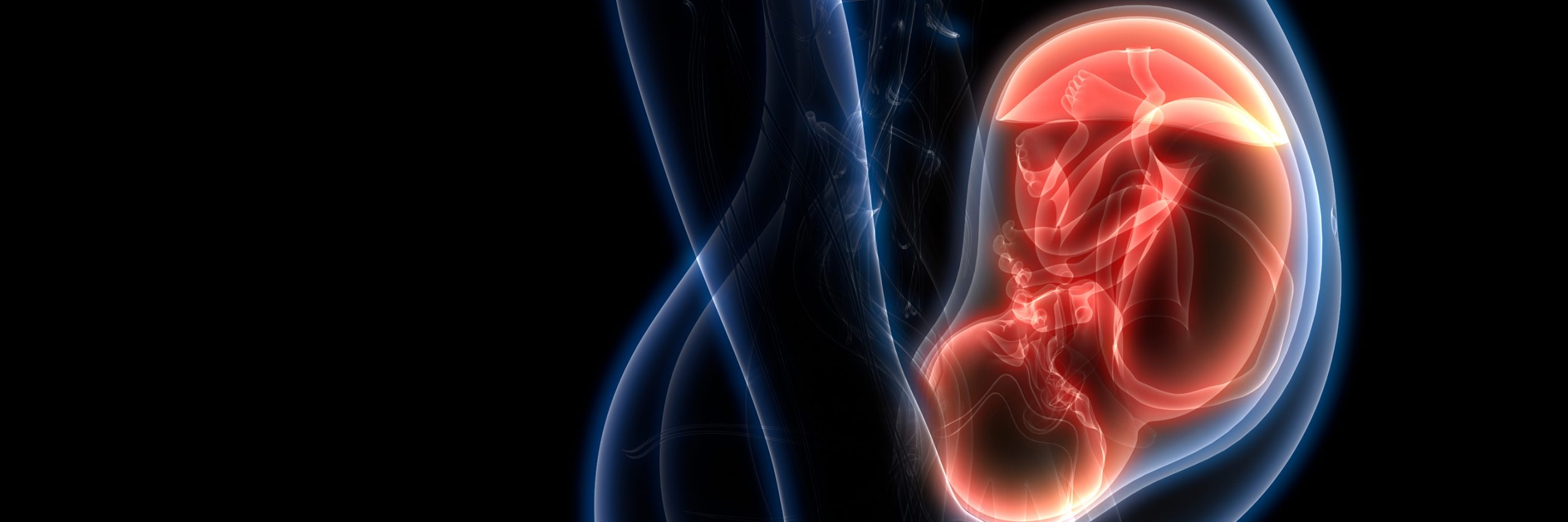 web-banner-fetal-2880×960-1-scaled.jpg